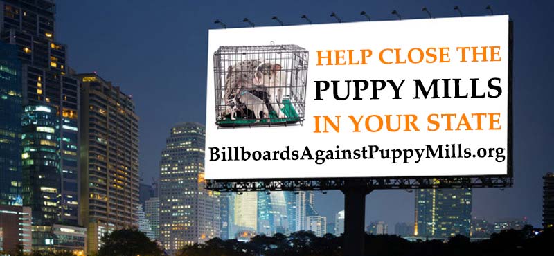 Billboards Against Puppy Mills