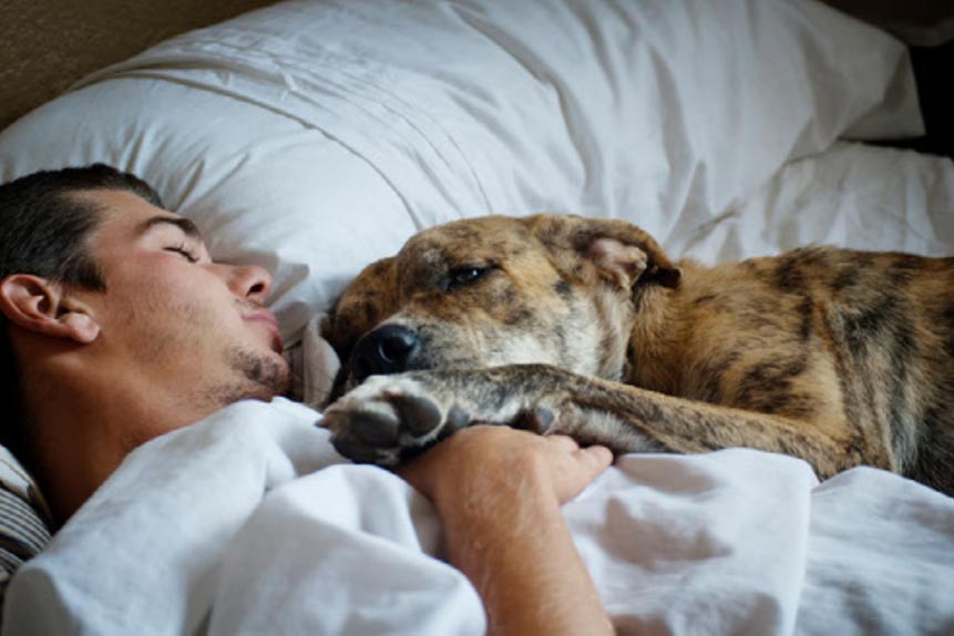 Is Co-Sleeping with Your Dog a Good Idea?