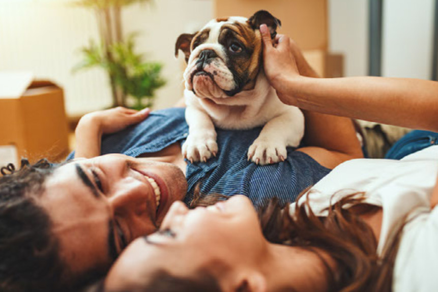 The Pros and Cons of Getting a Pet Before Having a Baby