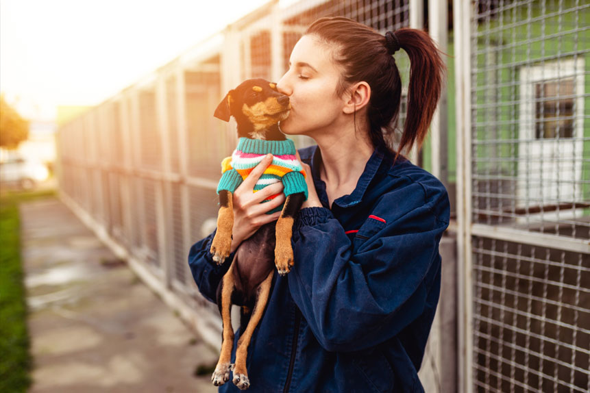 The Emotional Toll of Being a Dog Rescuer