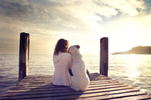 The Unbreakable Bond: Dogs and Their Favorite Family Members