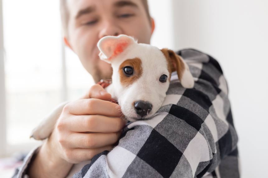 When is the Right Time to Welcome a New Dog