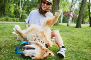 How Much Do You Know About Dogs?