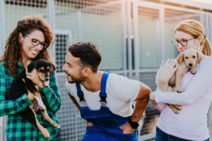 Understanding Shelter Verbiage: What Common Phrases Mean About Pet Behavior