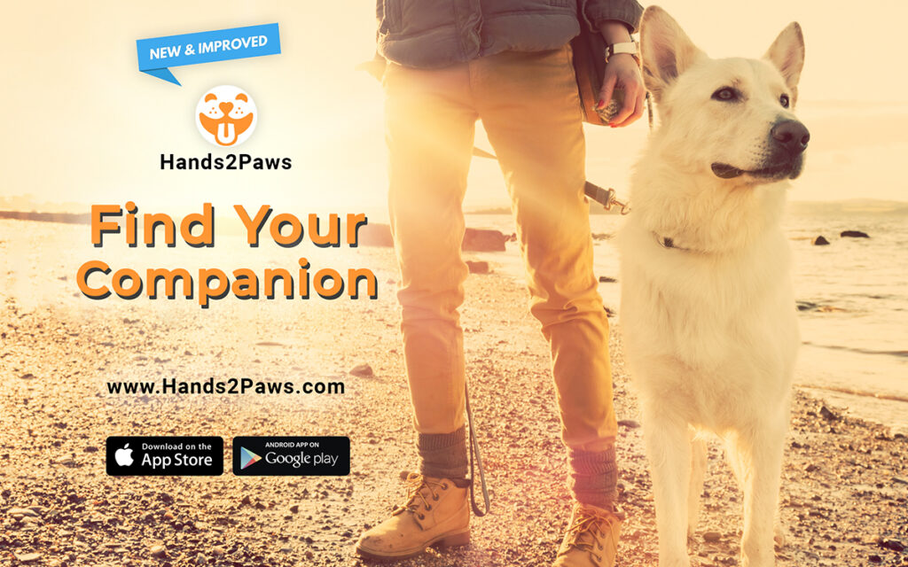 Matching Pets with People - Hands2Paws - Find the Perfect Dog Breed that Fits Your Lifestyle