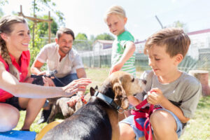 Why Are Home Visits Crucial for Ensuring Successful Pet Adoptions?