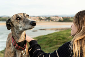 Are Some Dog Breeds More Sensitive Than Others?