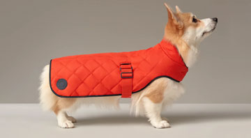 Hermès Dog Coat