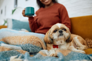 Best Dog Breeds for First-Time Owners Based on Your Living Space