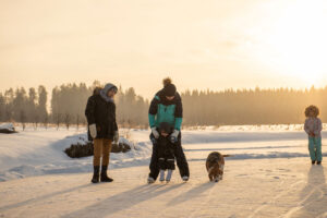 Best Dogs for Ice-Skating & Tobogganing Adventures