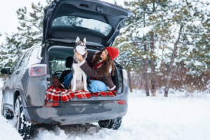 Best Snow Dog Breeds for Skiing & Snowshoeing