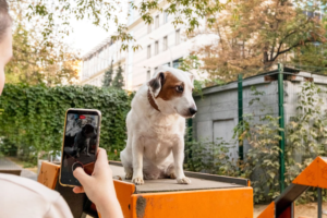 Backyard Breeding & Online Puppy Sales: What You Need to Know