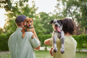 Why Dog Compatibility Matters