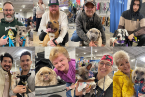 Do Owners Really Look Like Their Dogs?